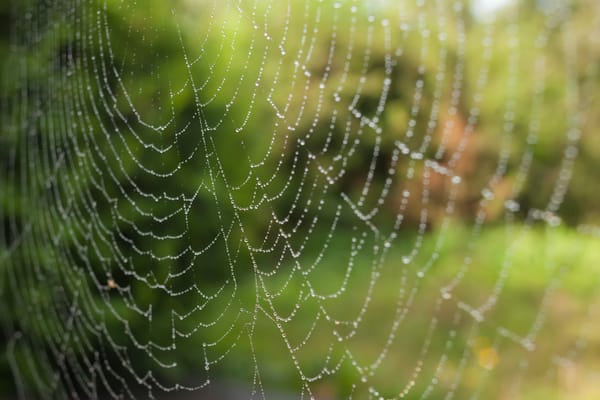 weaving as healing